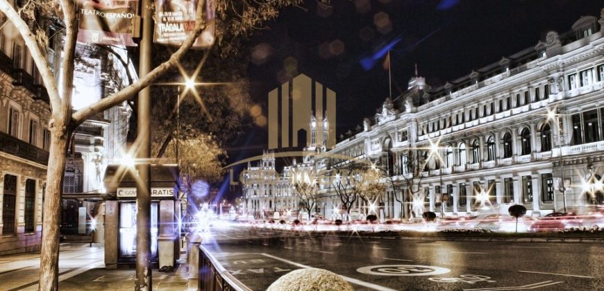 HOTEL IN MADRID – SPAIN